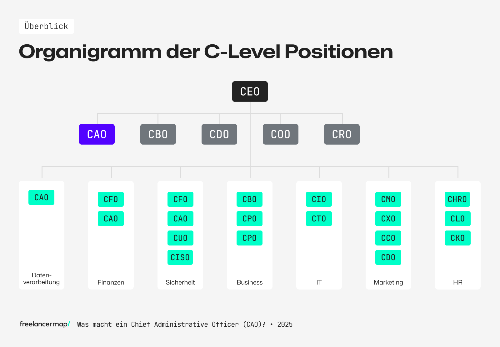 Organigramm der C-Level-Positionen mit Verortung des Chief Administrative Officers